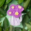 Garden Star Broche-Erstwilder Online