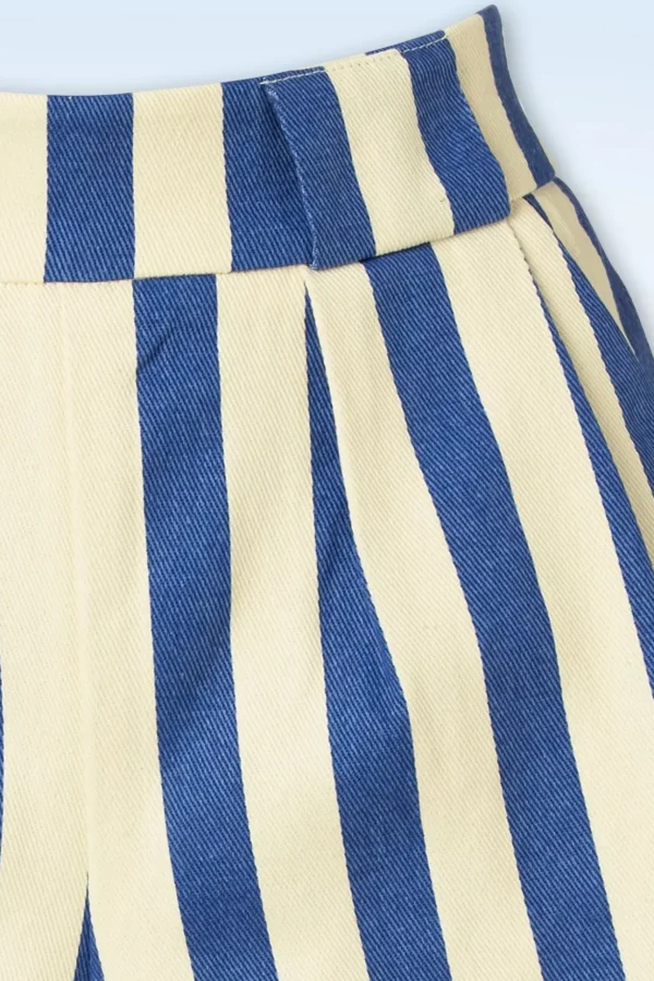 Hilton Deck Gestreepte Shorts In Wit En Blauw-Louche Hot